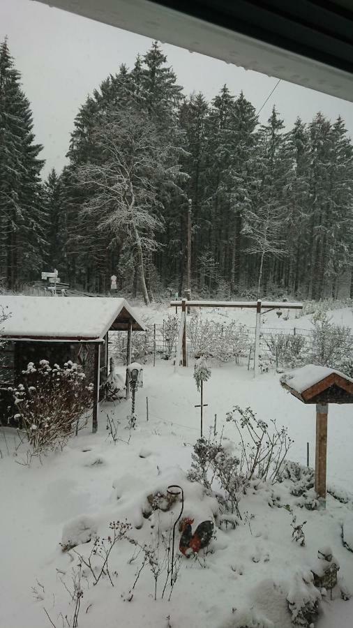 Haus Honnef Am Wald Hotel Thiergarten  Eksteriør billede